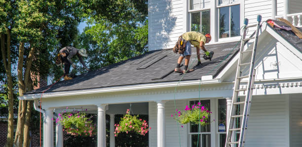 Best Roof Moss and Algae Removal  in Henderson, TN